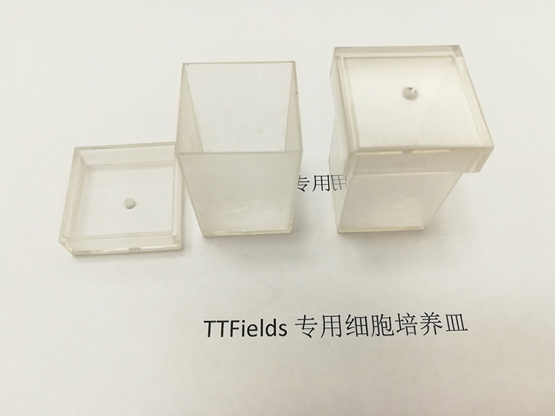  细胞培养皿